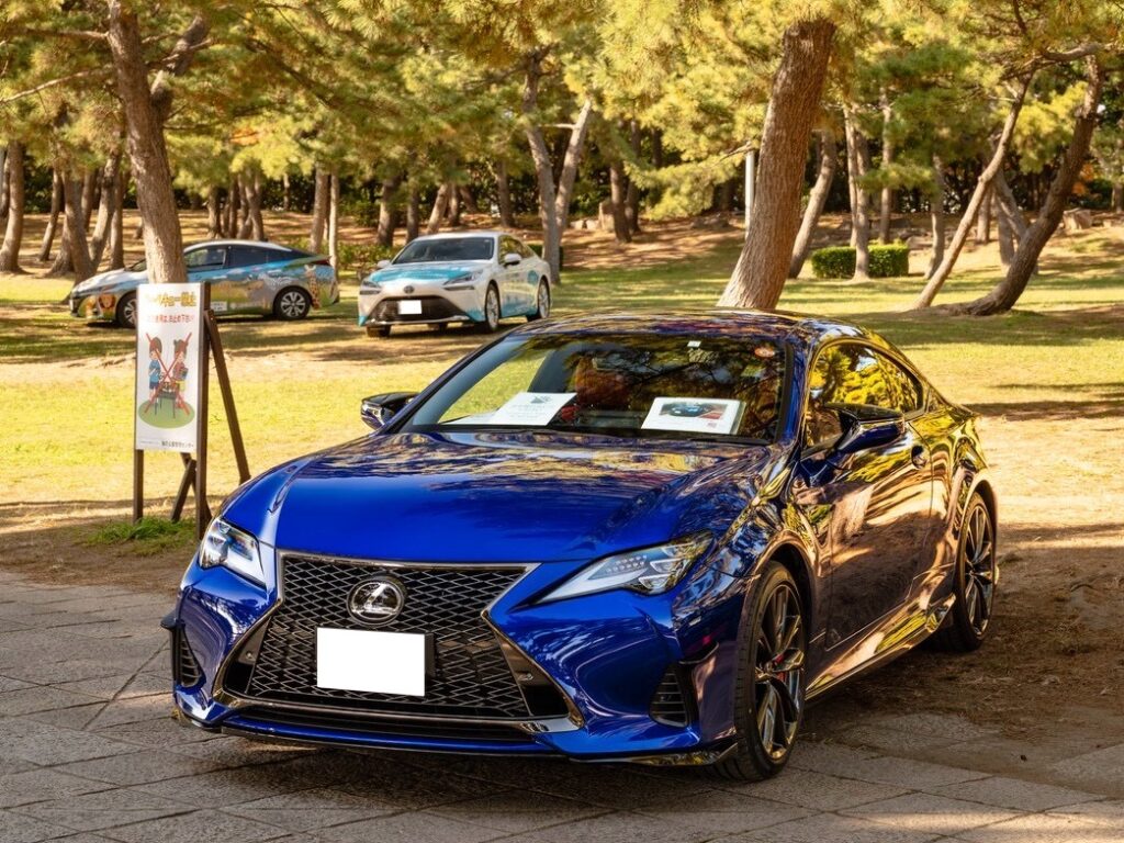 スポーツカーアクアリウム