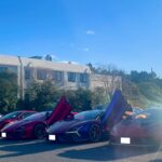 ハルデンベルク