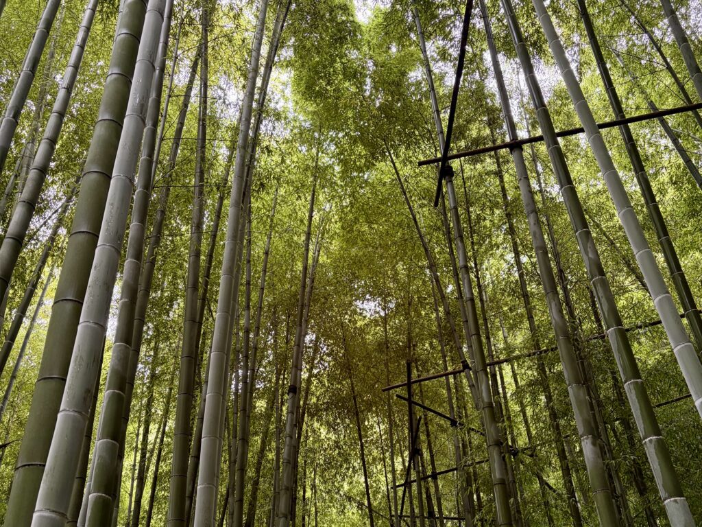 報国寺