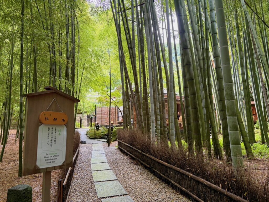 報国寺